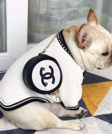 chanel dog apparel|purrfect chanel dog.